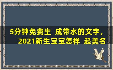 5分钟免费生  成带水的文字，2021新生宝宝怎样  起美名